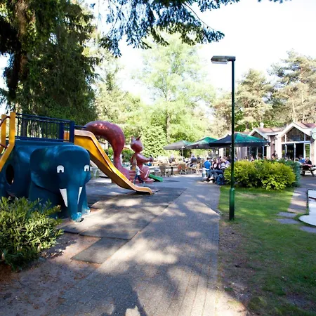 Holiday H8.29 * Beekbergen